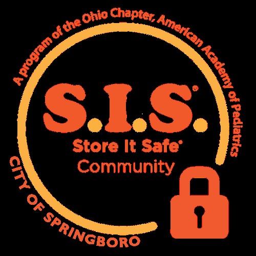 Store it Safe logo with boro